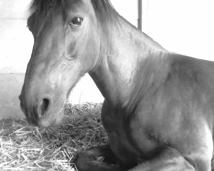 Photo de profil de nini62mj