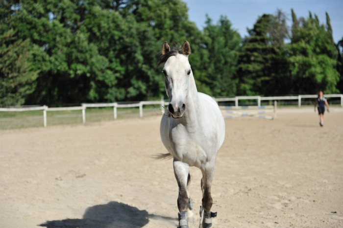 Photo de profil de gloriosa