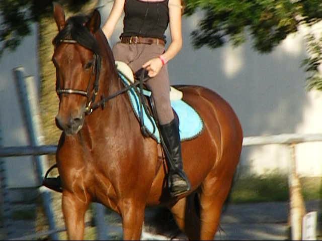 Photo de profil de conquisclam17