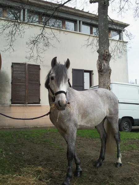 Photo de profil de julines