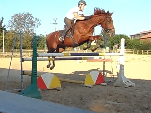 Photo de profil de cedric71