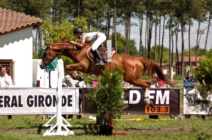 Photo de profil de nerine