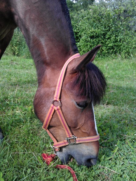 Photo de profil de elise21310