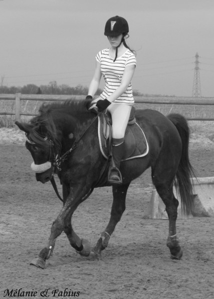 Photo de profil de xparadise