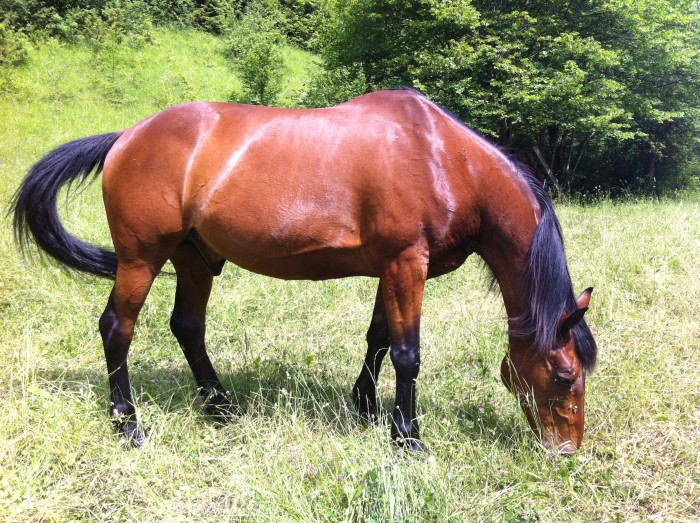 Photo de profil de emi3877