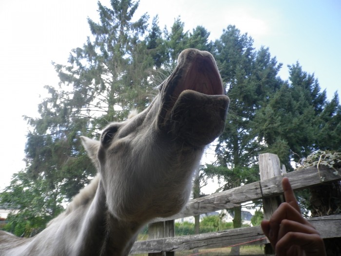 Photo de profil de ponykelly