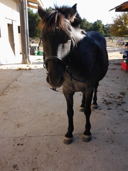 Photo de profil de polly37