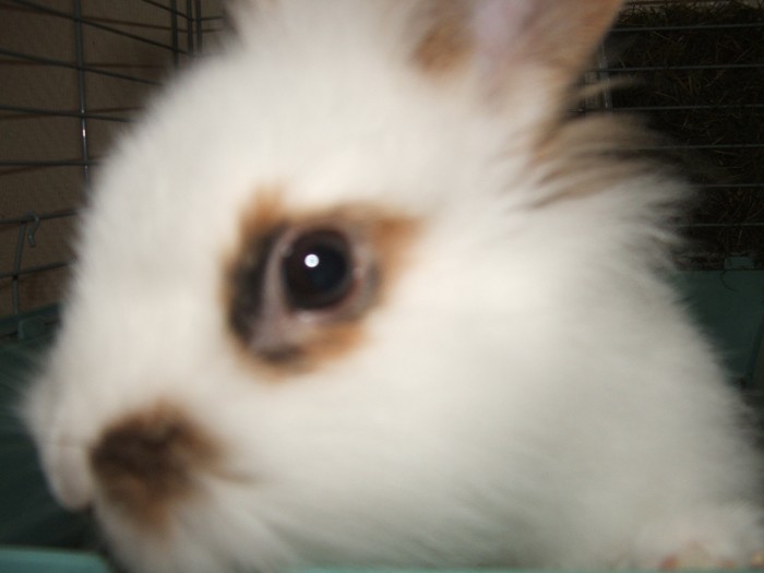 Photo de profil de ptitfleur57