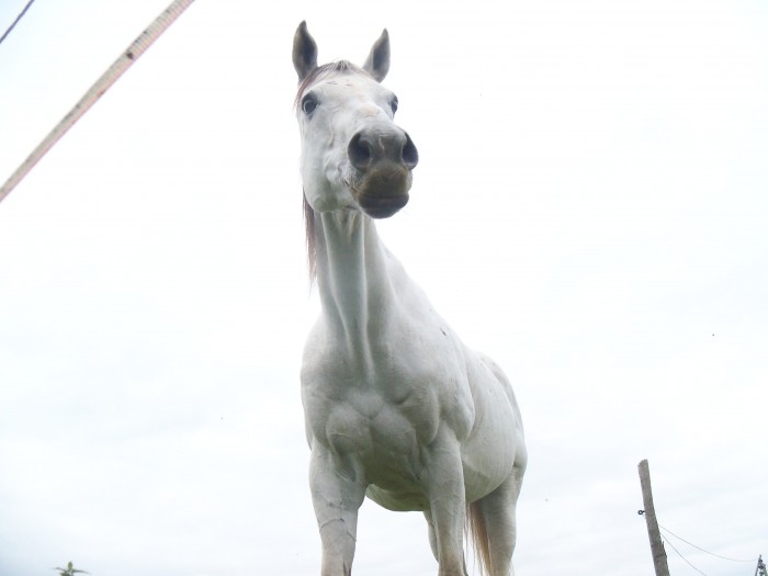 Photo de profil de chiipie