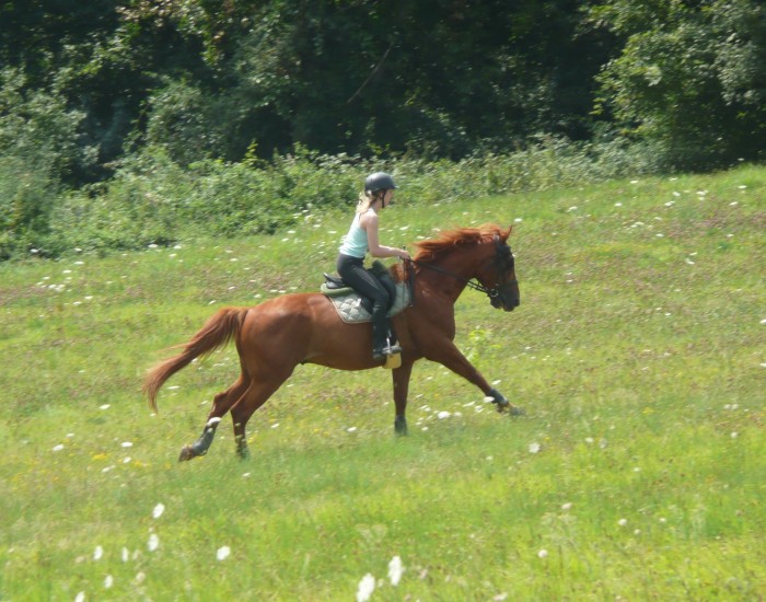 Photo de profil de milou38l