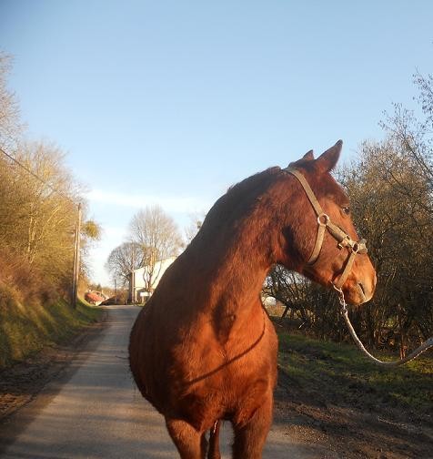 Photo de profil de alicette00