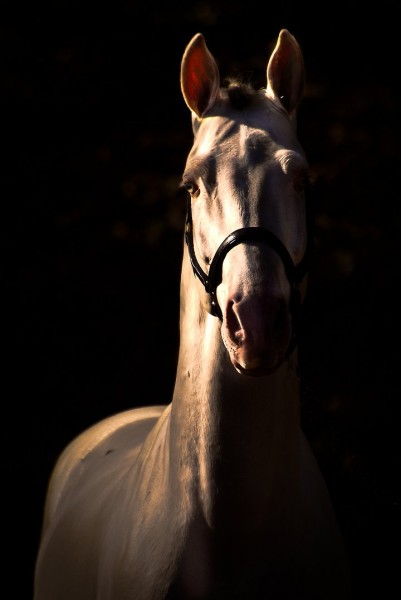 Photo de profil de solaris