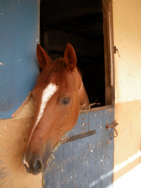 Photo de profil de lola_alma