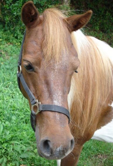 Photo de profil de cannellenina