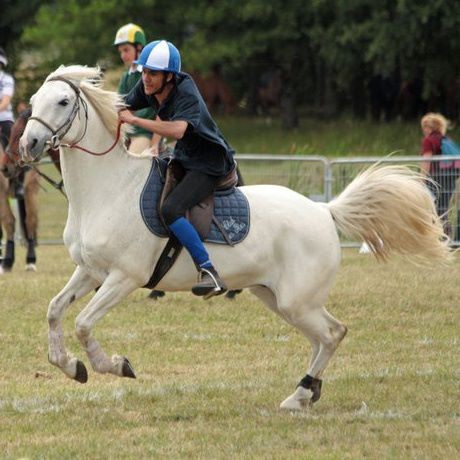 Photo de profil de jmichoudu44