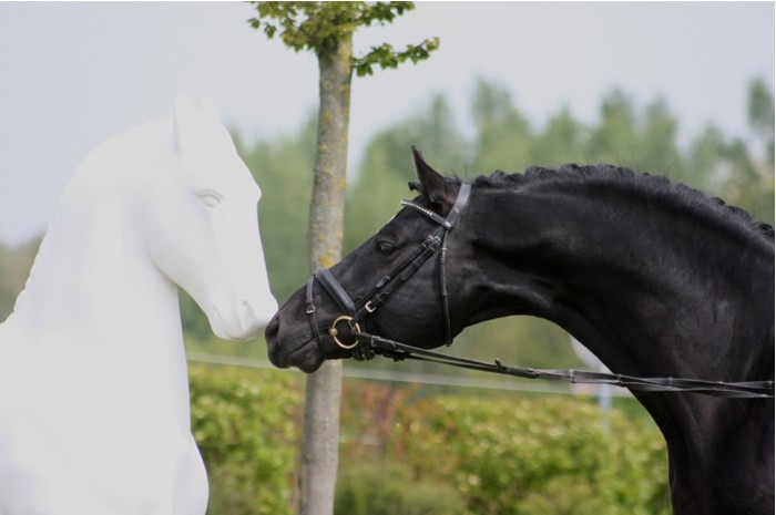 Photo de profil de annelaure0912