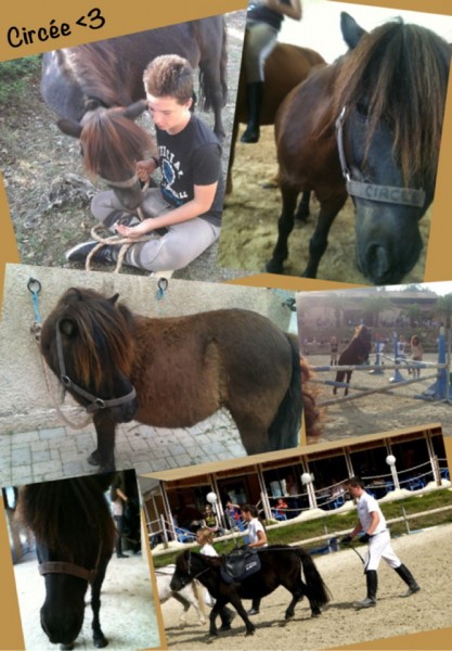 Photo de profil de romax