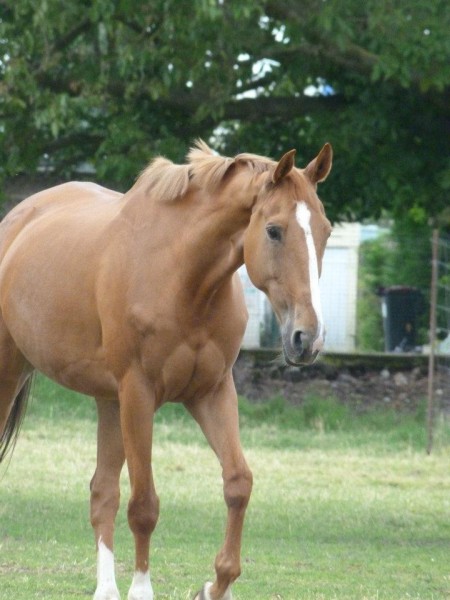 Photo de profil de krekrevette