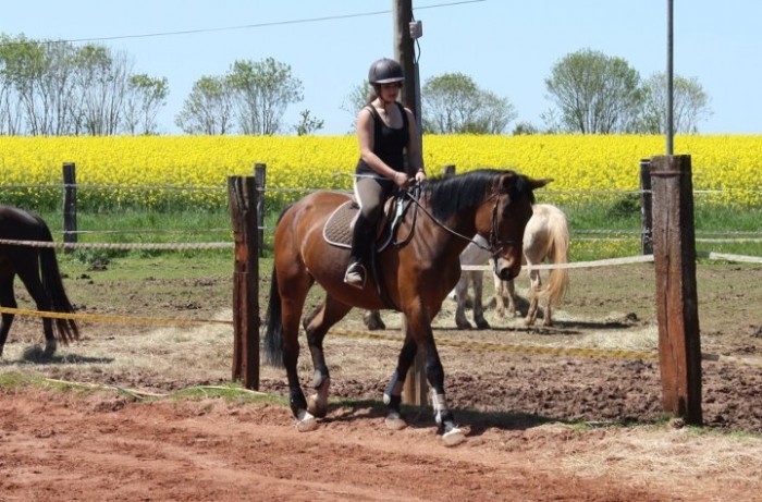 Photo de profil de leviou