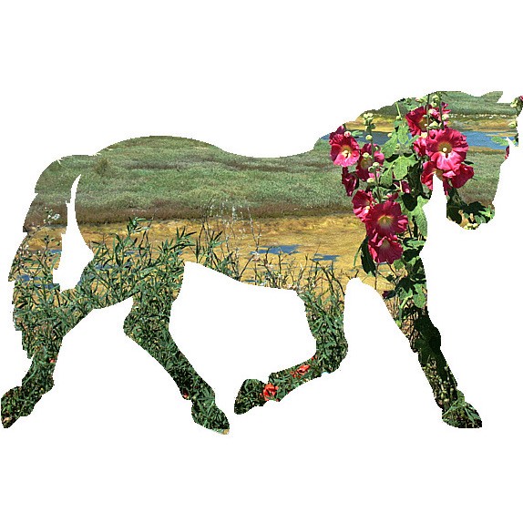 Photo de profil de sophieevieres