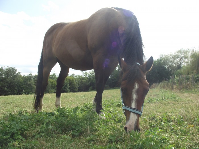 Photo de profil de galimard