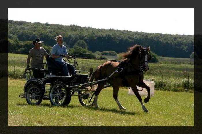 Photo de profil de celineb57