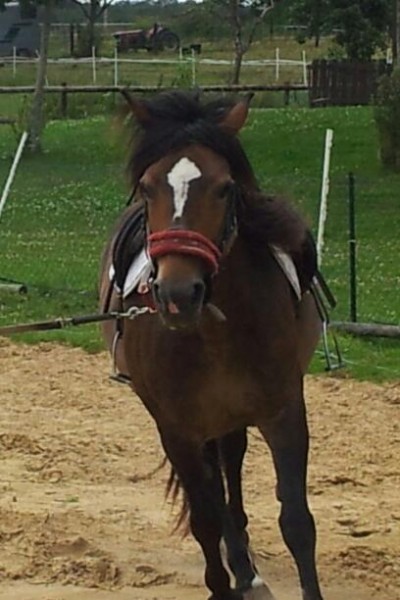 Photo de profil de nouvelle27