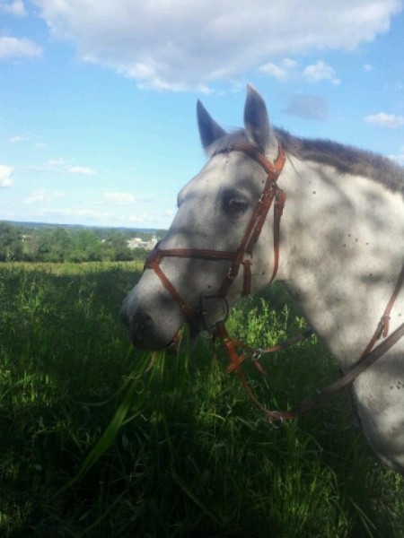 Photo de profil de lilietmoney