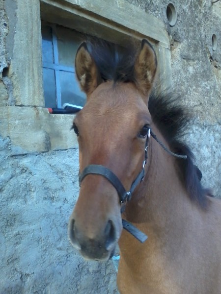 Photo de profil de chainy21