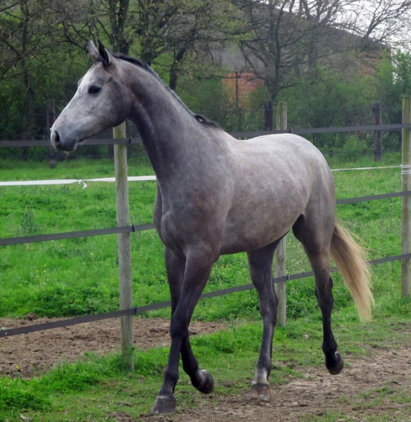 Photo de profil de marieka31000