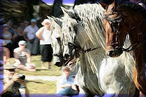 Photo de profil de chrislinecb