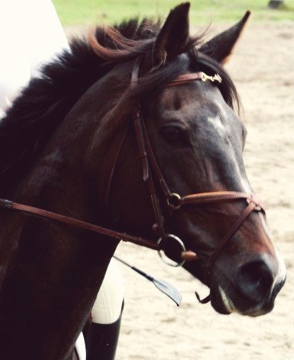 Photo de profil de hdrlouloute