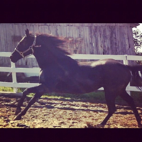 Photo de profil de rollingbaby