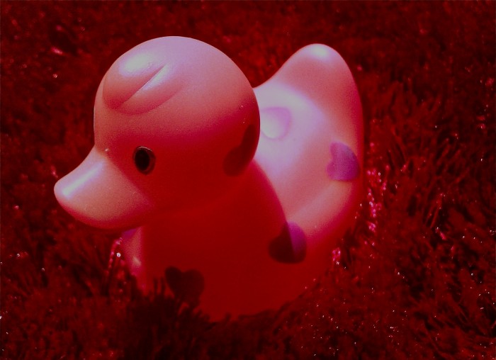 Photo de profil de petitcanard