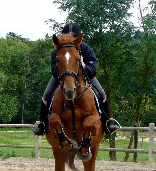 Photo de profil de valzonzon