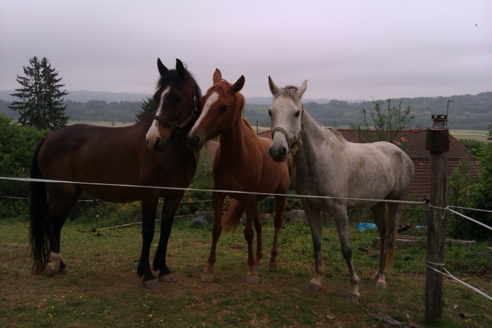 Photo de profil de broceliande65