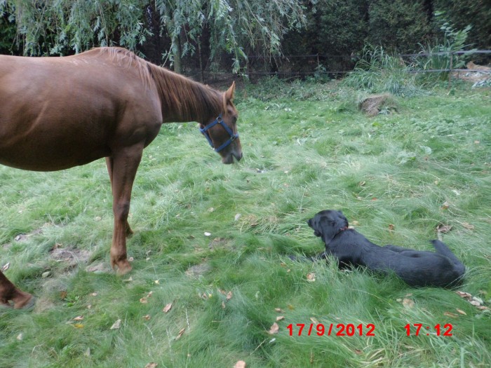 Photo de profil de psitko