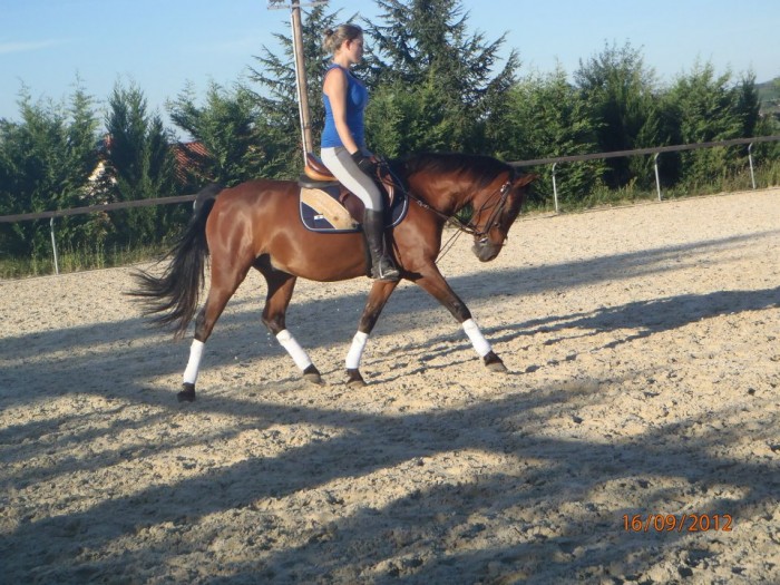 Photo de profil de didine6913
