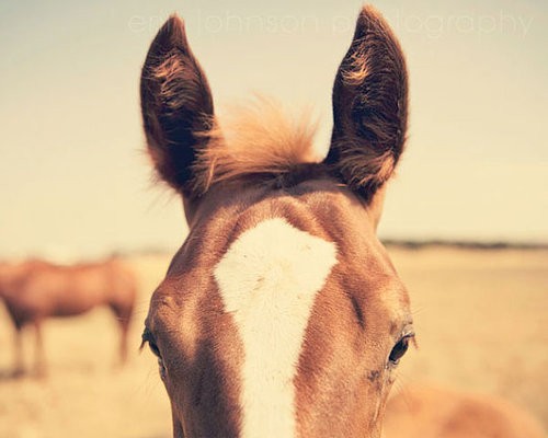 Photo de profil de meadow