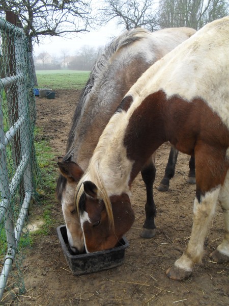 Photo de profil de cowboy72