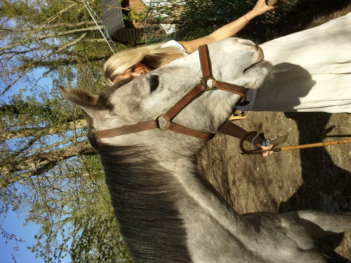 Photo de profil de laupris