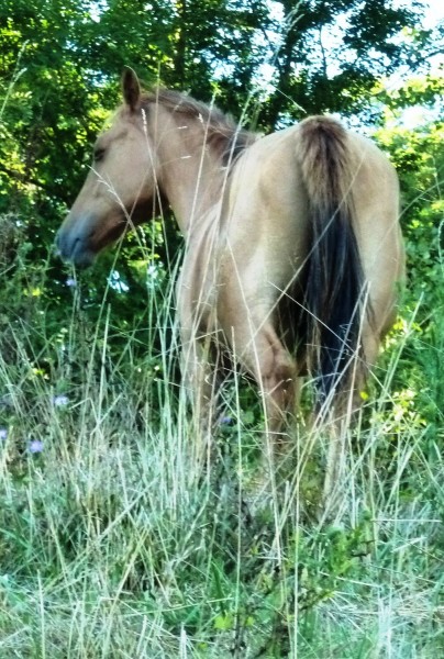 Photo de profil de guayra