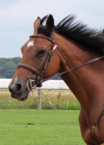 Photo de profil de bartelina