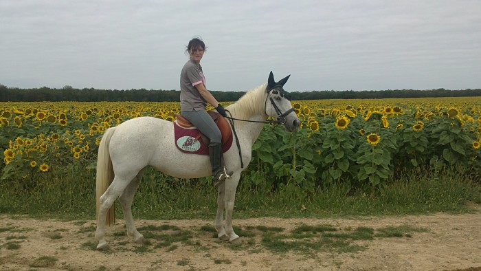 Photo de profil de queen31
