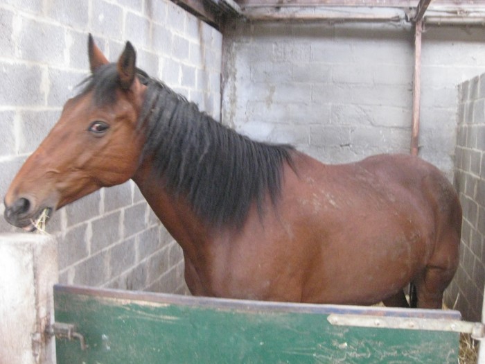 Photo de profil de 9pepito9