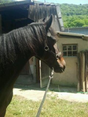 Photo de profil de pauline39000