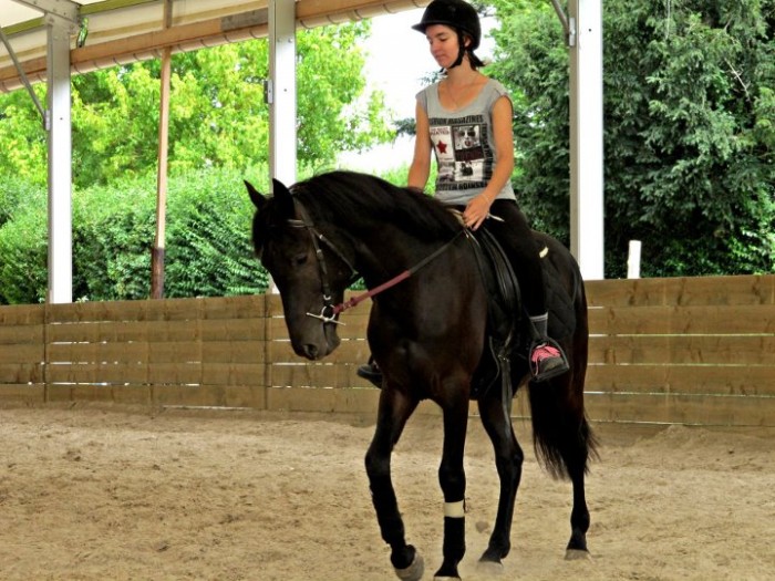 Photo de profil de manon.h28