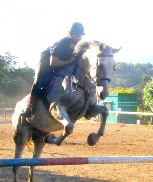 Photo de profil de ecko83