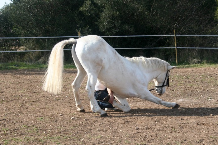 Photo de profil de paloma13500