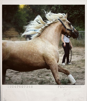 Photo de profil de daphne.r